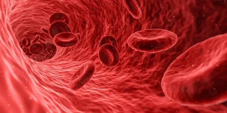 Nature:睡眠不足又一致命后果遭实锤!睡眠不规律,血管两行泪