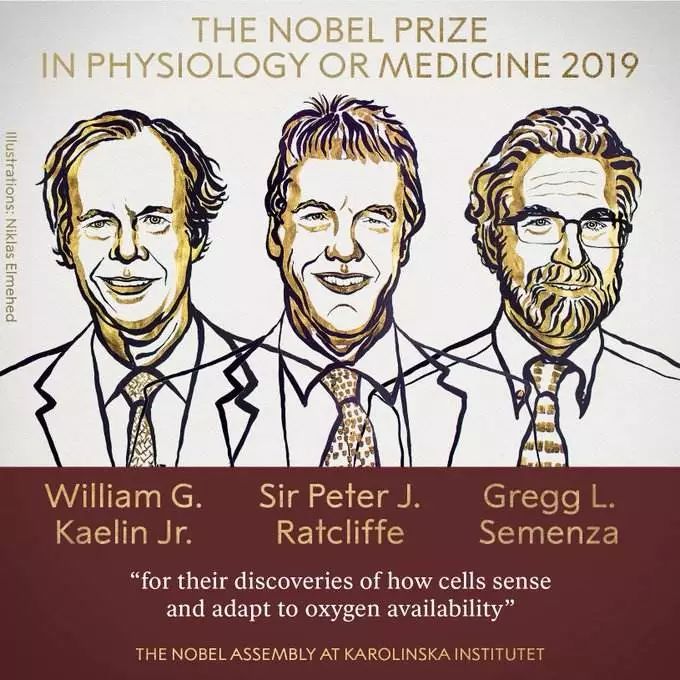 神预测！刚刚获得诺贝尔生理学或医学奖的两位新晋得主，月底将来沪参加世界顶尖科学家论坛