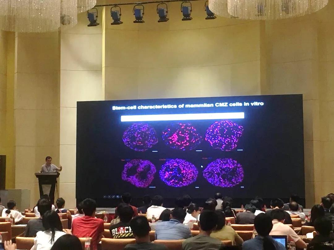 2018长三角地区神经科学论坛回顾