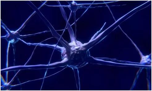 Science：睡眠剥夺加快阿尔茨海默病中的大脑损伤