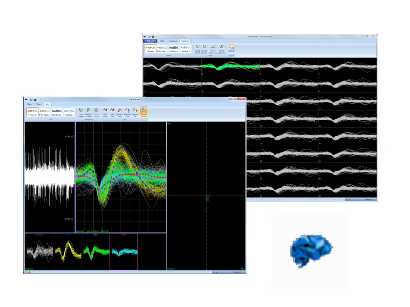 NeuroStudio信号采集软件